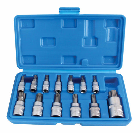 Σετ Καρυδάκια Torx T8-T60 13 Τμχ