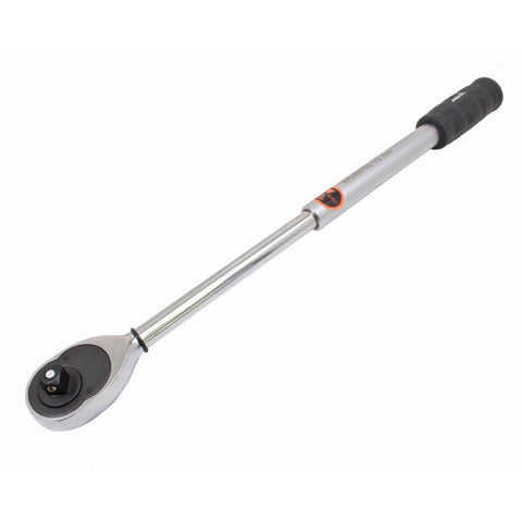 Καστάνια 1/2